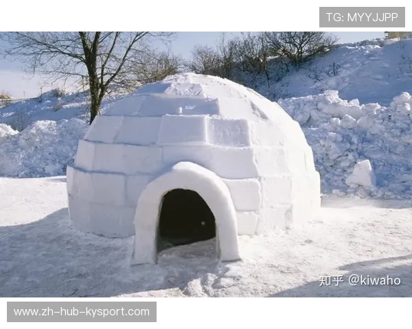 _极地冰泳赛事:在极寒中感受运动魅力_,极地冰屋图片 _极地冰泳赛事:在极寒中感受运动魅力_,极地冰屋图片