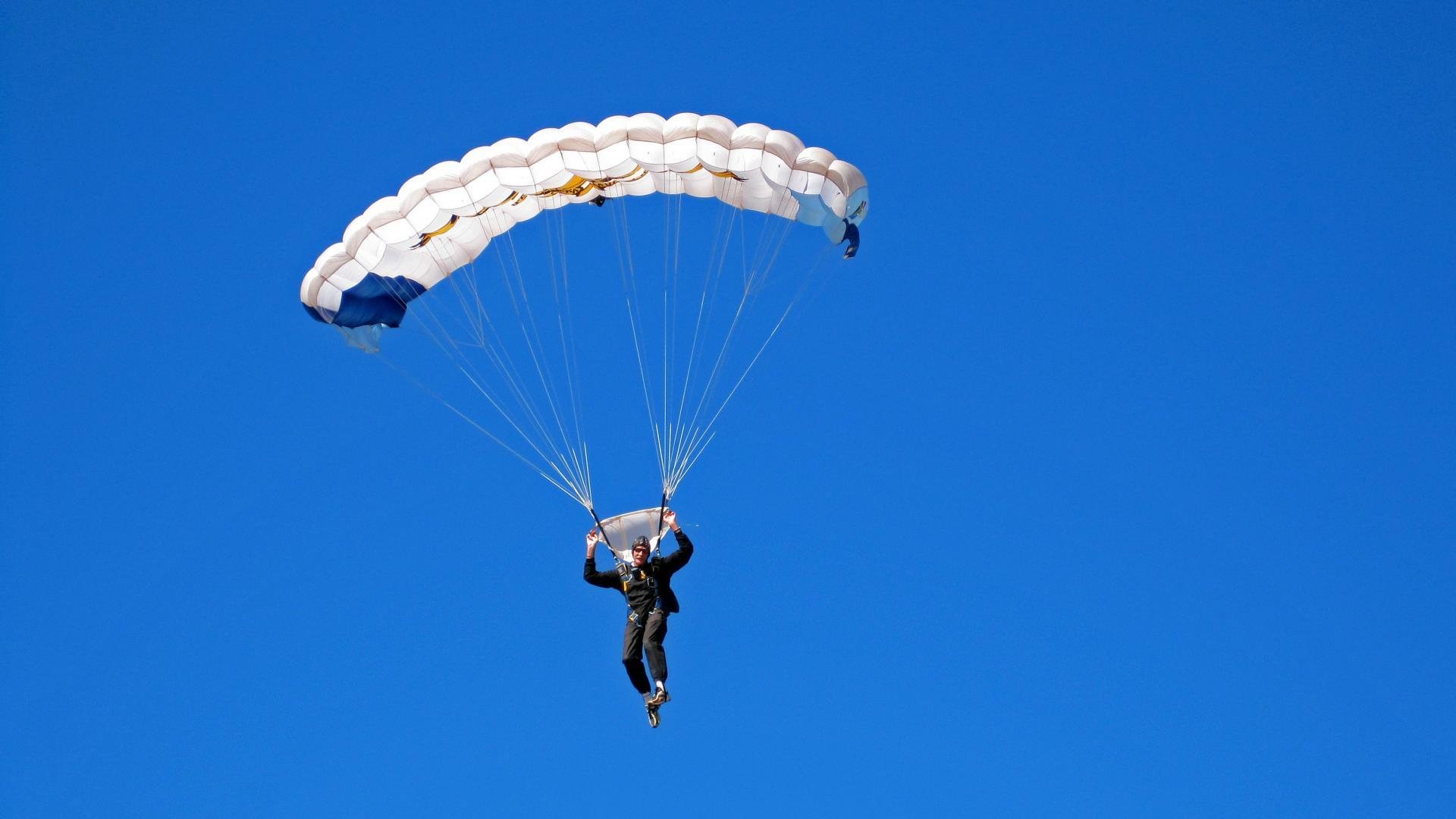 “高新体育中心:世界顶级武术选手齐聚,竞技与文化交织”